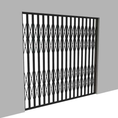 Folding Stainless Steel Door