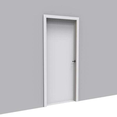 Metal Frame Glass Door