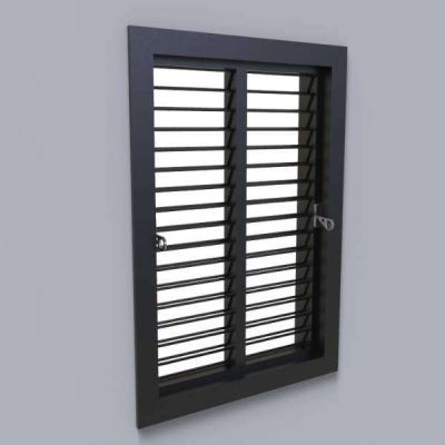 Double Louver Window