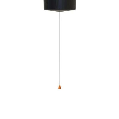Pull Cord Switch