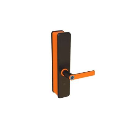 Intelligent Smart Door Lock