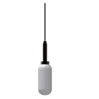Annex Pendent Light