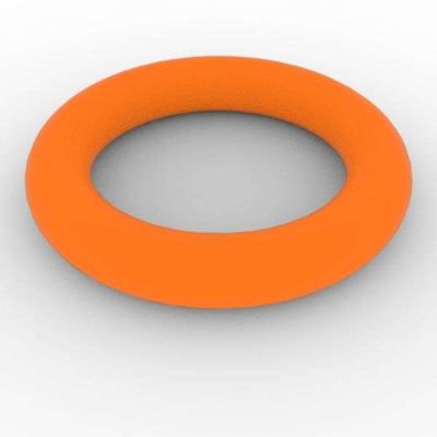 Swimming Pool Tube