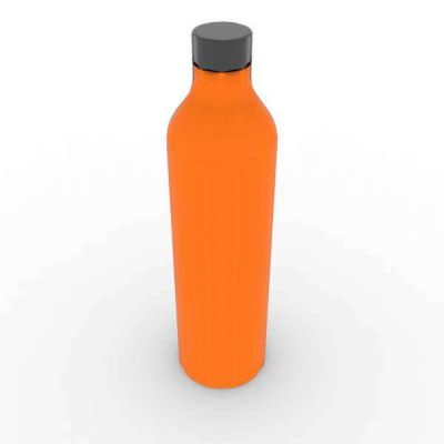 Stainless Steel Bottle