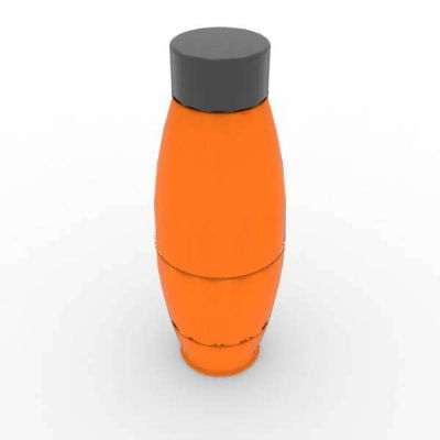Bottle