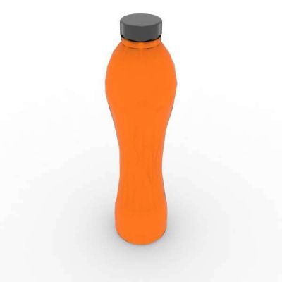 Insulated Bottle