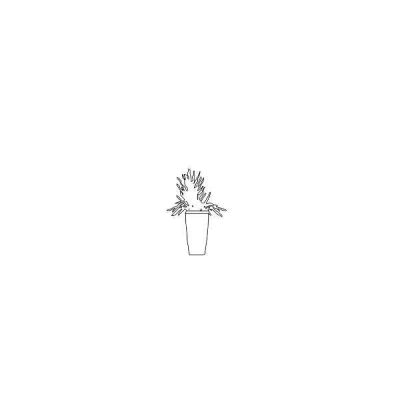 Indoor Plant Silhouette