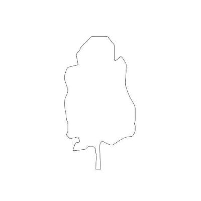 Tree Silhouette