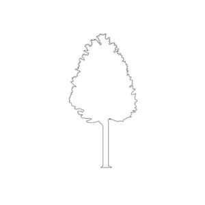 Tree Silhouette