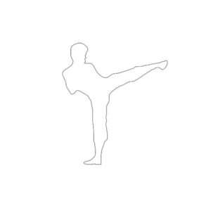 Boxing Kick Silhouette