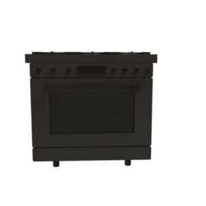 Dual Fuel Oven