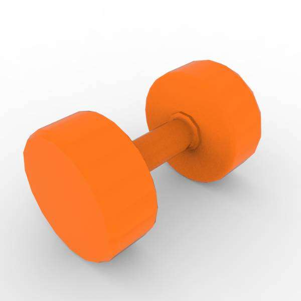 25 LB Dumbbell