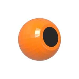 Indoor Surveillance Camera